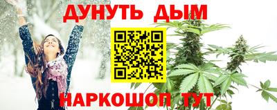 наркотики Новозыбков