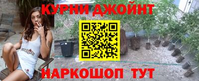 наркотики Новозыбков
