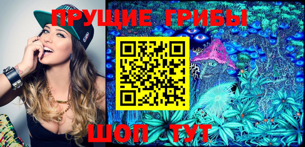 Галлюциногенные грибы Psilocybe  закладки  Ростов Великий  Вход с VPN  Галлюциногенные грибы MAGIC MUSHROOMS 
